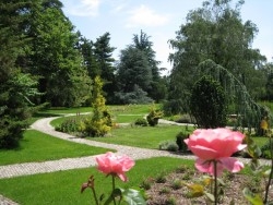 Botanická záhrada - Bratislava